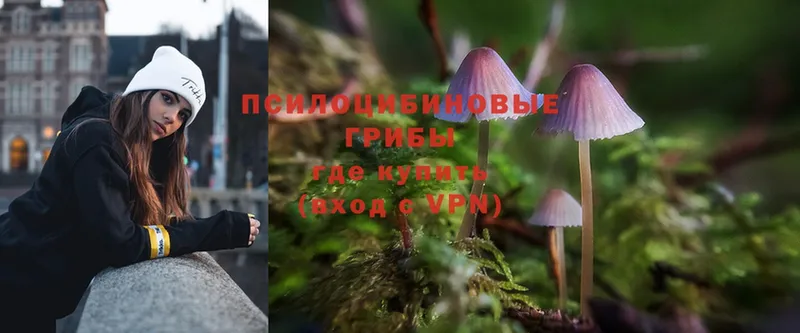 hydra ссылки  Белоозёрский  Псилоцибиновые грибы MAGIC MUSHROOMS 