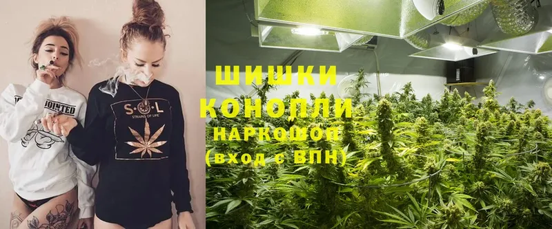 Шишки марихуана Ganja  Белоозёрский 